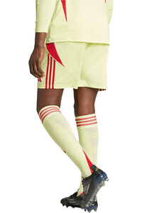 adidas pantalones cortos futbol TIRO24 vista trasera