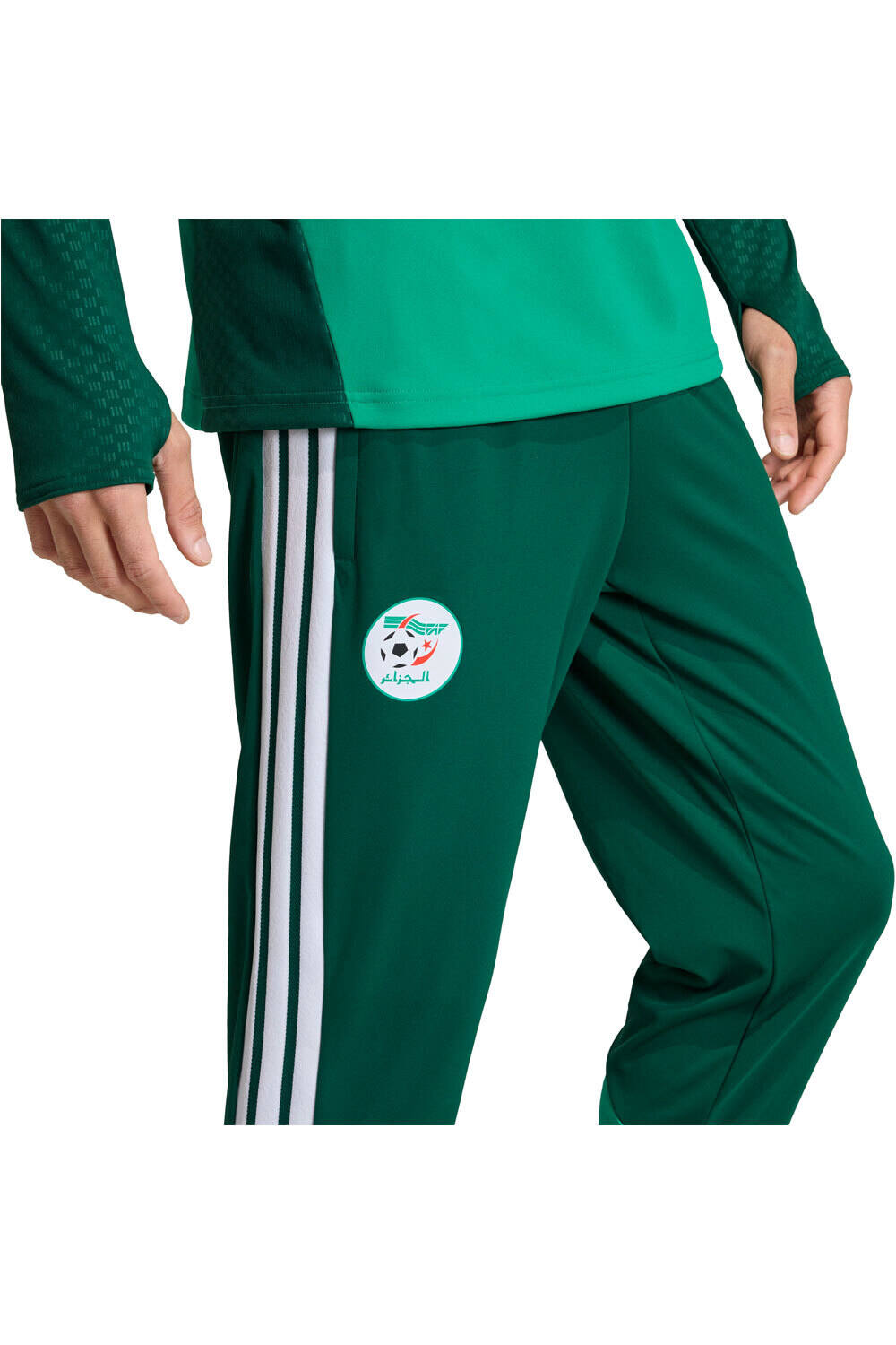 adidas pantalones futbol ENTRENAMIENTO ARGELIA 26 03