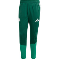 adidas pantalones futbol ENTRENAMIENTO ARGELIA 26 04