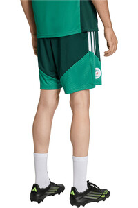 adidas pantalones fútbol oficiales ARGELIA 26 TRAINING SHORT vista trasera