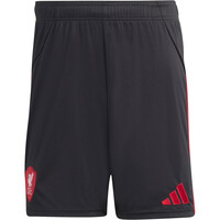 adidas pantalones fútbol oficiales LIVERPOOL 26 A SHO 04