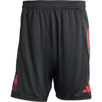 adidas pantalones fútbol oficiales LIVERPOOL 26 TR SHO 05