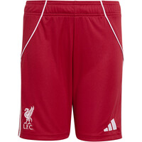 adidas pantalones fútbol oficiales niño LIVERPOOL 26 H SHO Y 04