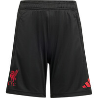 adidas pantalones fútbol oficiales niño LIVERPOOL 26 TR SHO Y 04