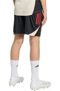 adidas pantalones fútbol oficiales niño LIVERPOOL 26 TR SHO Y vista trasera