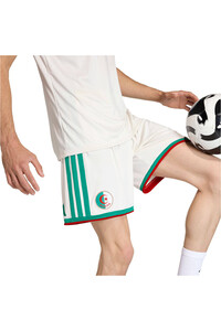 adidas pantalones fútbol oficiales PRIMERA EQUIPACIN ARGELIA 26 03