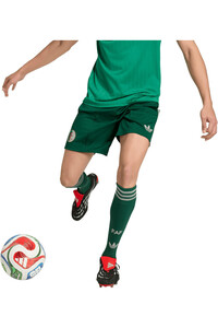 adidas pantalones fútbol oficiales SEGUNDA EQUIPACIN ARGELIA 26 vista detalle