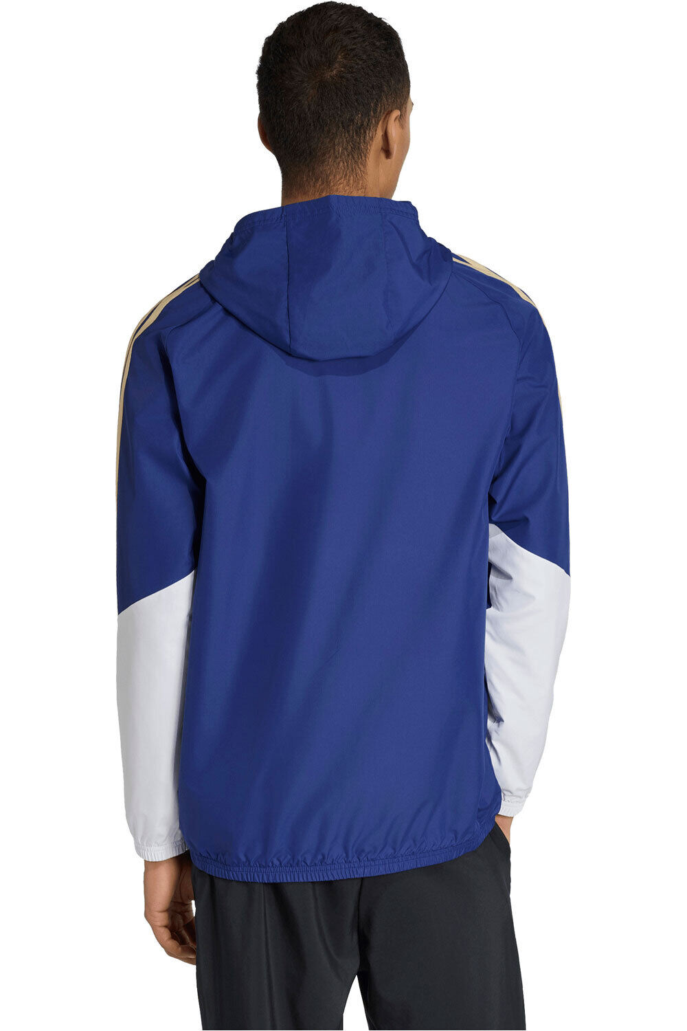 adidas sudadera entrenamiento fútbol ITALIA 26 TIRO ALLWEATHER vista trasera