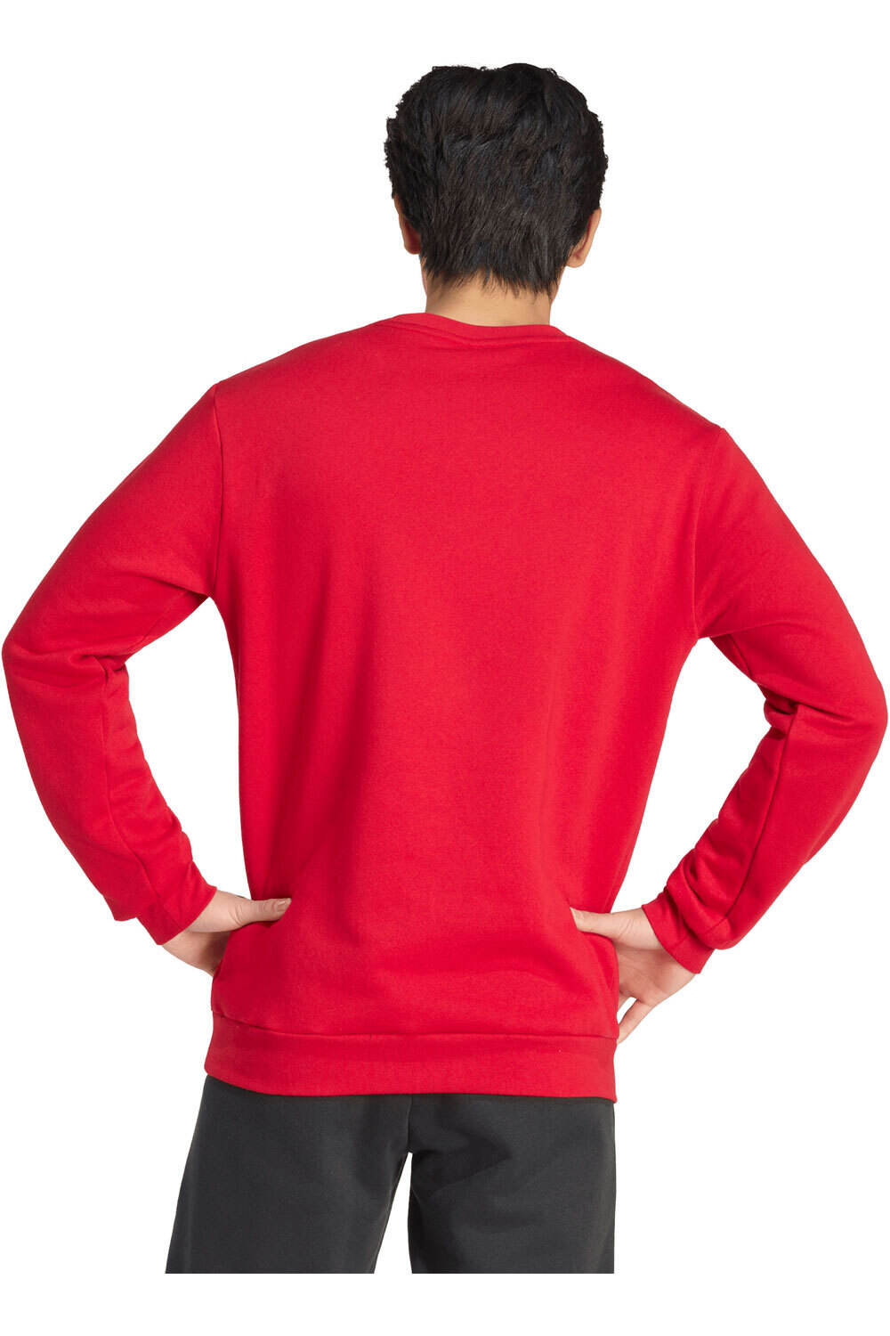 adidas sudadera hombre ENTRADA26 vista trasera