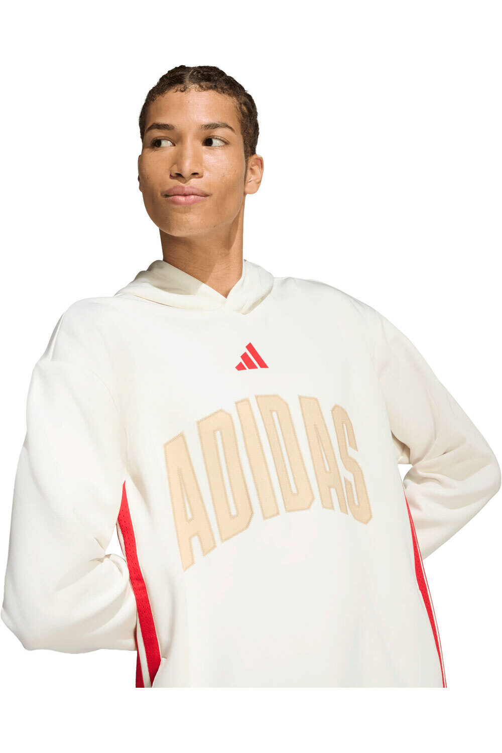 adidas sudadera hombre ESTAMPADA STADIUM vista detalle