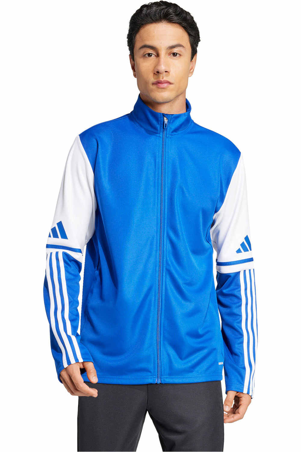 adidas sudadera hombre SQ25 TR JKT vista frontal