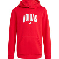 adidas sudadera niño J COLLEG HD vista detalle