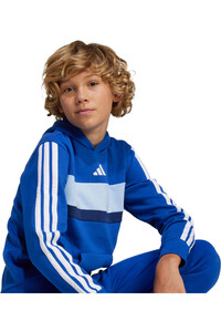 adidas sudadera niño SEASONAL ESSENTIALS TIBERIO 3BANDAS vista detalle