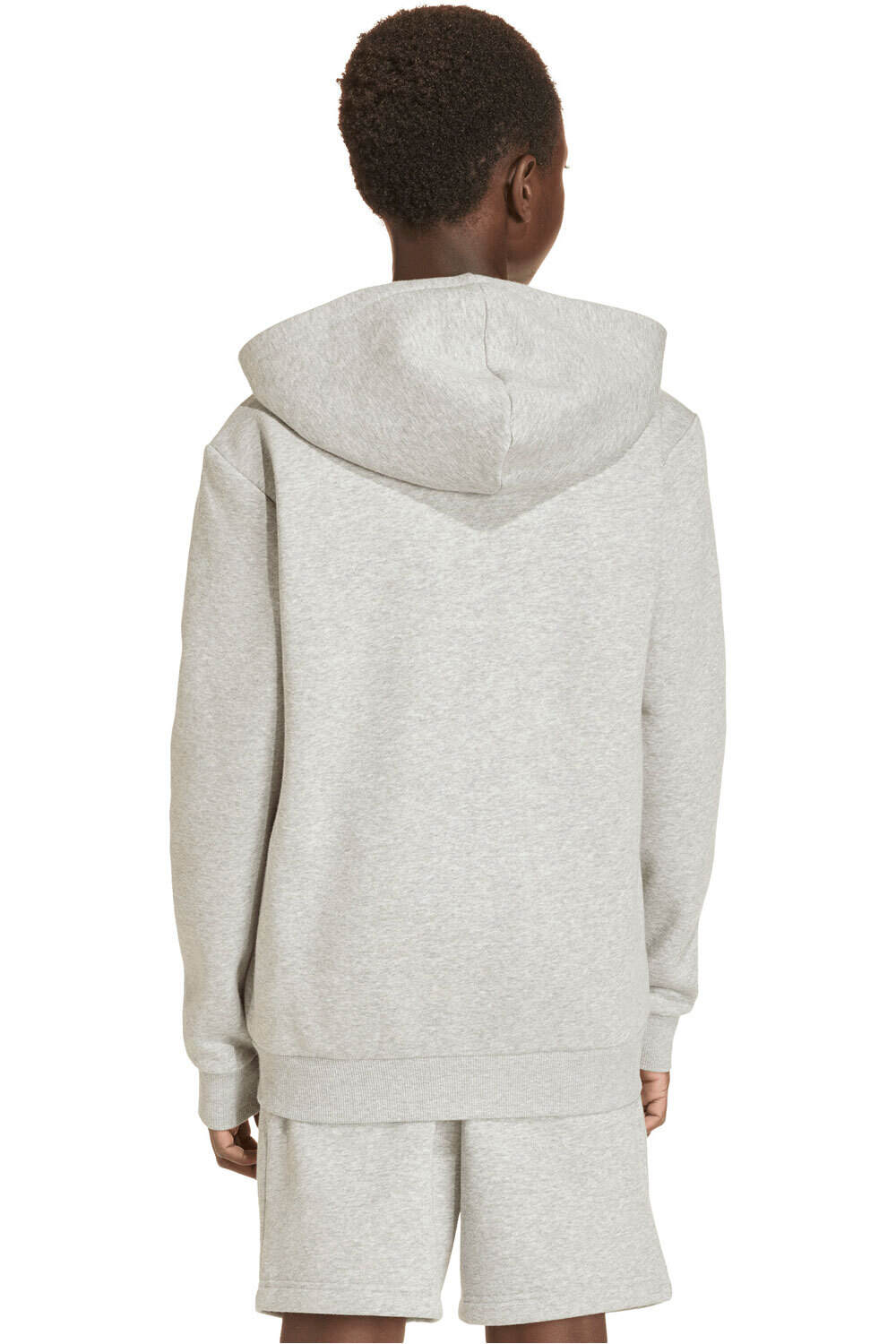 adidas sudadera niño SEASONALS COLLEGE TYPOGRAFY vista trasera