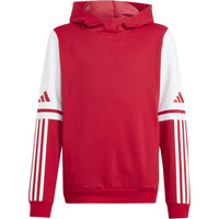 adidas sudadera niño SQ25 SW HOOD Y 04