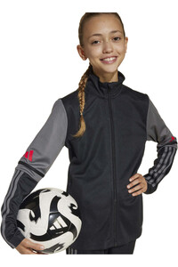 adidas sudadera niño SQ25 TR JKT Y vista detalle