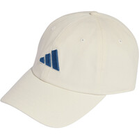 DAD CAP TONAL LOGO