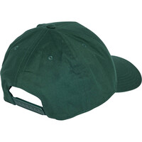 adidas visera lona DAILY CAP 01