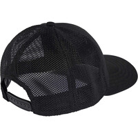 adidas visera lona MERCEDES - AMG PETRONAS FORMULA 1 TEAM NIGHT 01