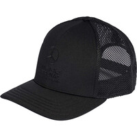 adidas visera lona MERCEDES - AMG PETRONAS FORMULA 1 TEAM NIGHT vista frontal