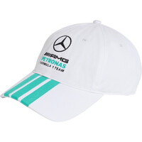 MERCEDES-AMG PETRONAS F1 TEAM DNA