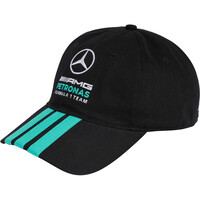 MERCEDES-AMG PETRONAS F1 TEAM DNA