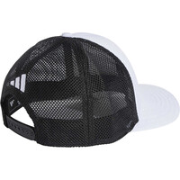 adidas visera lona MERCEDES AMG PETRONAS LOGO 01