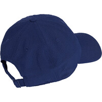 adidas visera lona MILRAYAS DAD 01