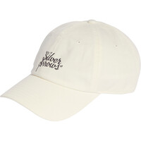 adidas visera lona SILVER ARROWS vista frontal