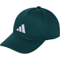 adidas visera niño PERFORMANCE vista frontal