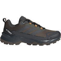 TERREX SKYCHASER AX5 GORE-TEX