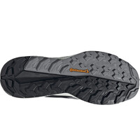 adidas zapatilla trekking hombre TERREX FREE HIKER 2 LOW GORE-TEX vista superior