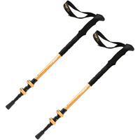 Altus bastón travesía montaña PAR-BOJ vista frontal