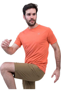 Altus camiseta montaña manga corta hombre TISMA vista trasera