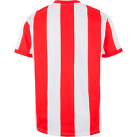 Athletic Club camiseta de fútbol oficiales CAMISETA RETRO TXAPELDUNA vista trasera