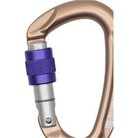 Beal mosquetón seguridad BE ONE SCREW MATT 01