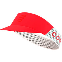 PRO RACING VISOR
