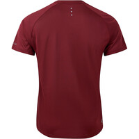 Dare2b camiseta montaña manga corta hombre AccelerateTee 03