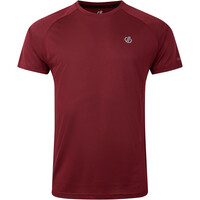 Dare2b camiseta montaña manga corta hombre AccelerateTee vista detalle