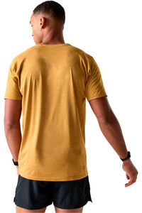 Dare2b camiseta montaña manga corta hombre PersistTee vista trasera