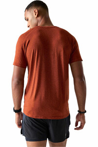 Dare2b camiseta montaña manga corta hombre PersistTee vista trasera