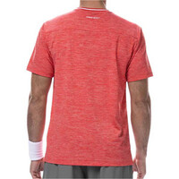 Dropshot camiseta tenis manga corta hombre CAMISETA SABANA vista trasera