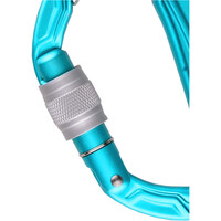 Edelrid mosquetón seguridad BULLETPROOF SCREW Icemint mosquetn CE 02