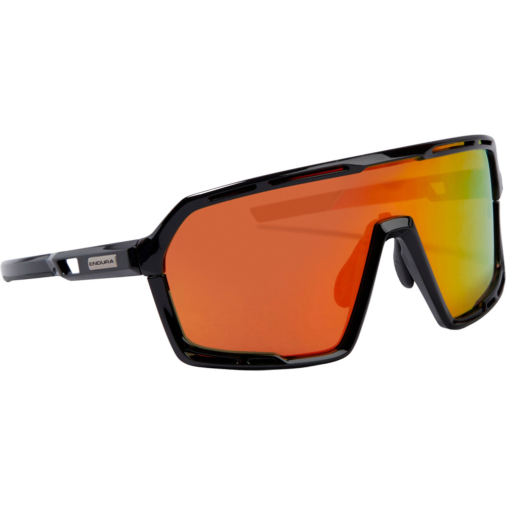 Endura gafas ciclismo Pro SL Glasses Set vista frontal