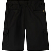 Endura pantalón corto ciclismo hombre LOOP CARGO SHORT vista trasera