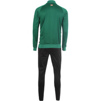 Euskadi chandal fútbol de equipos oficiales FED VASCA CHANDAL SR VE 24-25 vista trasera