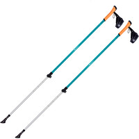 Ferrino bastón travesía montaña PAR- STICK NORDICK STEP-IN vista frontal