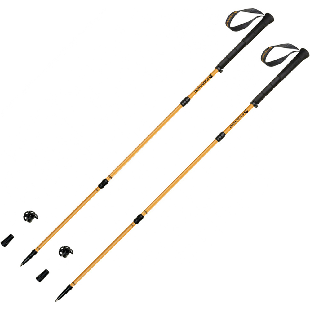 Ferrino bastón travesía montaña PAR-STICK ZION 3 SECTIONS CM.120 (PAIR) vista frontal