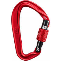 Fixe mosquetón seguridad Picot Screw vista frontal