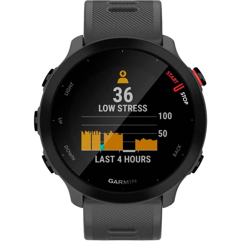Garmin pulsómetros con gps Forerunner 55 Gris 05
